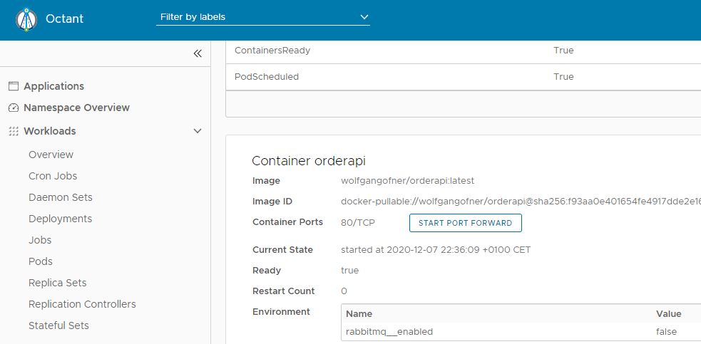 The pod starts and the environment variable is shown
