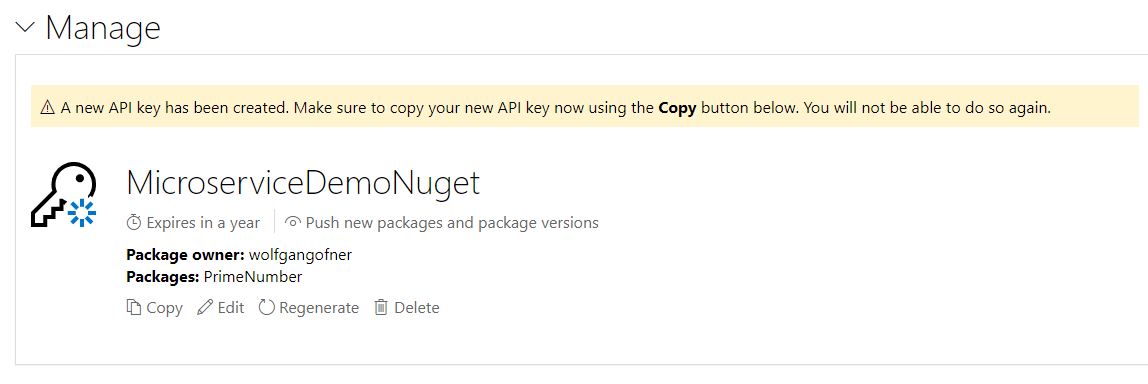 Copy the API key