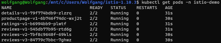 Check the installed Pods