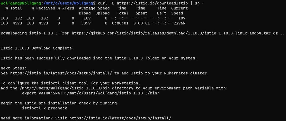 Download the newest Version of Istio